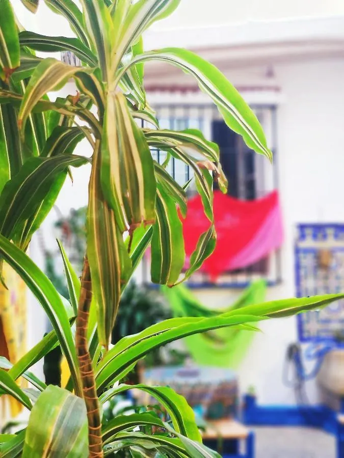 Hostel Patio 19 马拉加